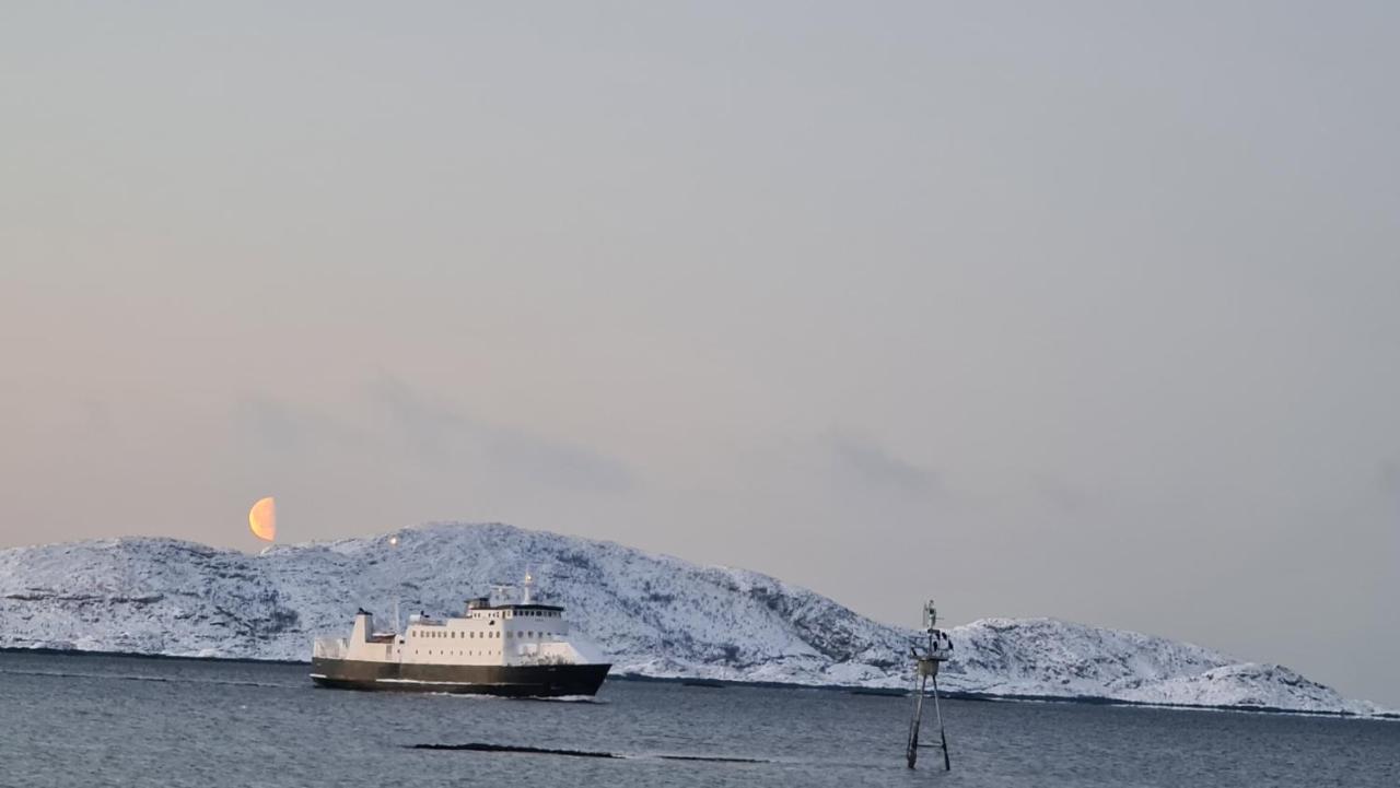 Cabin Magic On Senja, Atmosphere Like A Fairytale Botnhamn エクステリア 写真
