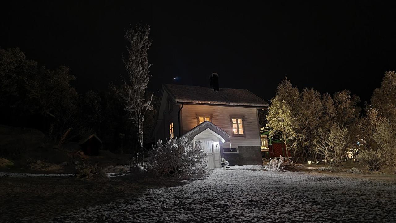 Cabin Magic On Senja, Atmosphere Like A Fairytale Botnhamn エクステリア 写真