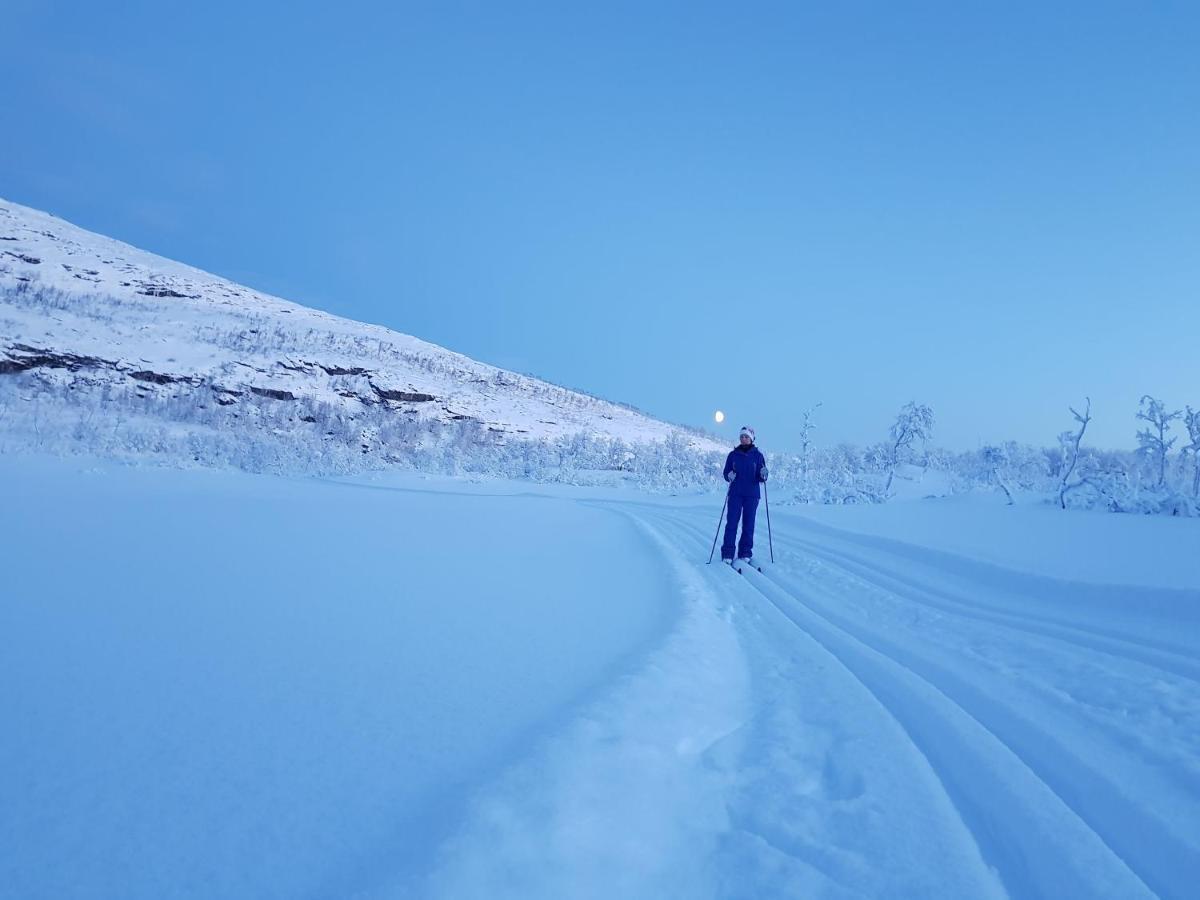 Cabin Magic On Senja, Atmosphere Like A Fairytale Botnhamn エクステリア 写真