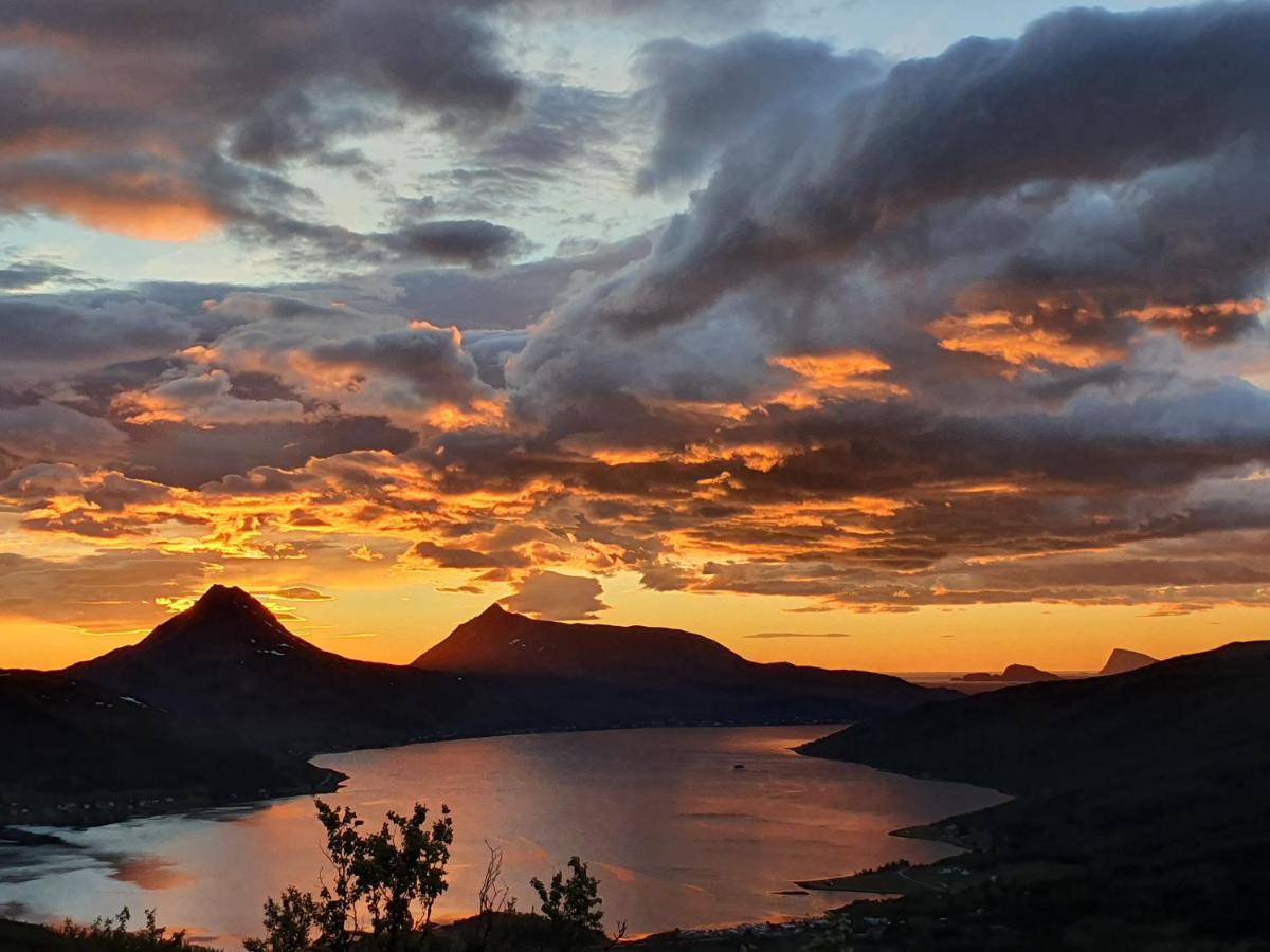 Cabin Magic On Senja, Atmosphere Like A Fairytale Botnhamn エクステリア 写真