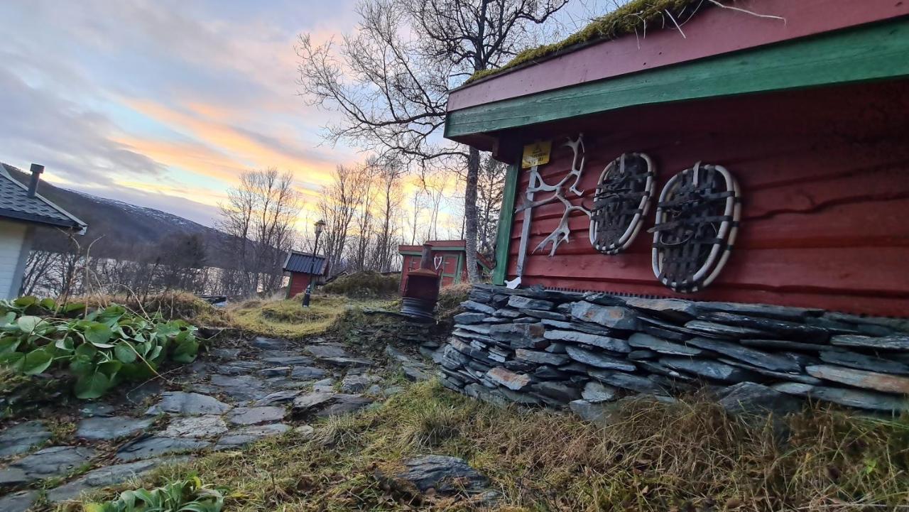 Cabin Magic On Senja, Atmosphere Like A Fairytale Botnhamn エクステリア 写真