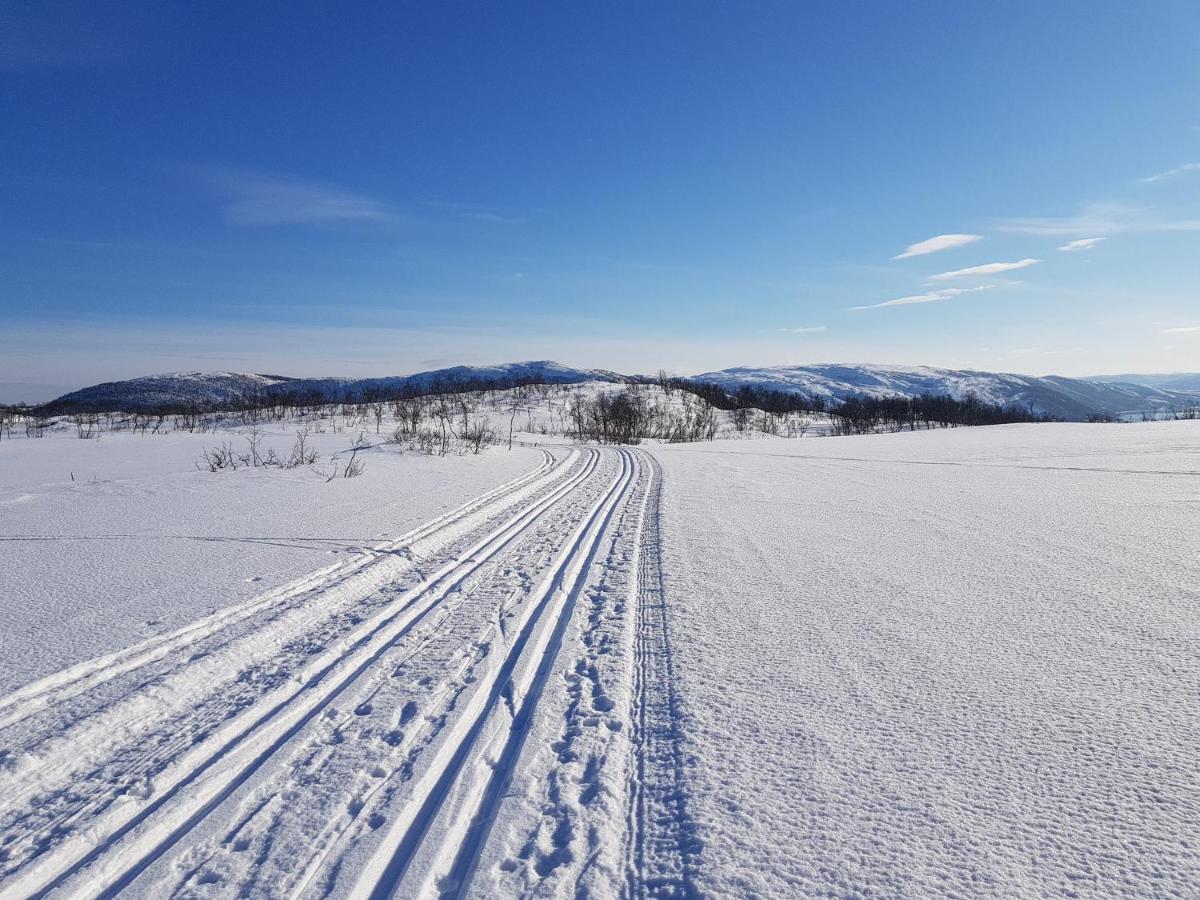 Cabin Magic On Senja, Atmosphere Like A Fairytale Botnhamn エクステリア 写真