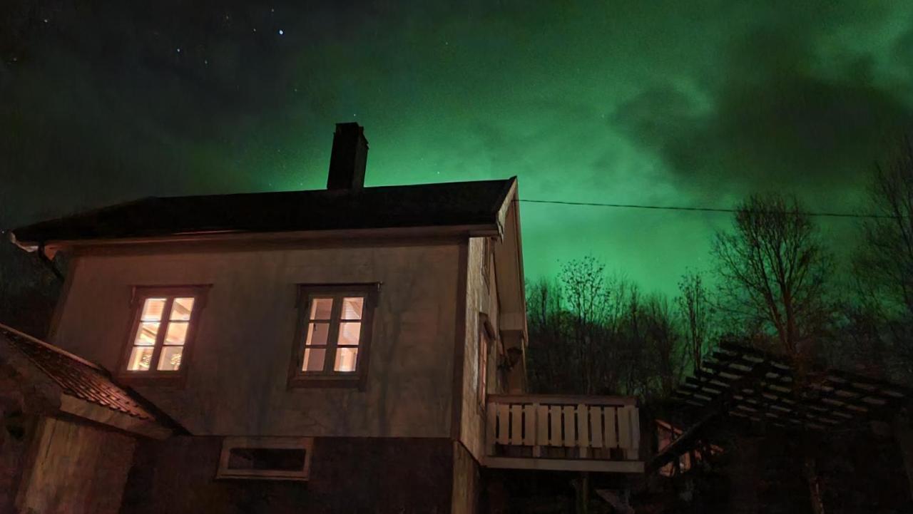 Cabin Magic On Senja, Atmosphere Like A Fairytale Botnhamn エクステリア 写真