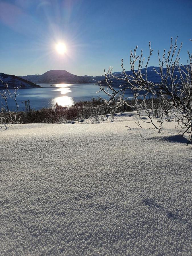 Cabin Magic On Senja, Atmosphere Like A Fairytale Botnhamn エクステリア 写真