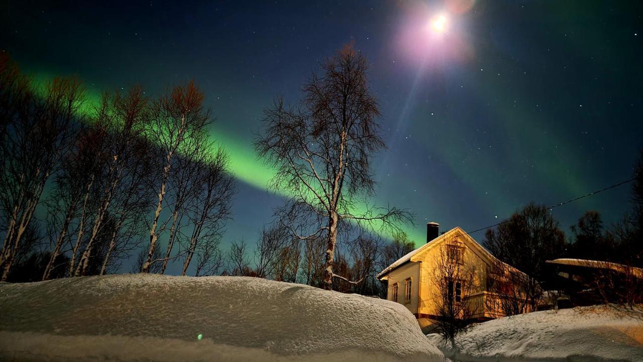 Cabin Magic On Senja, Atmosphere Like A Fairytale Botnhamn エクステリア 写真