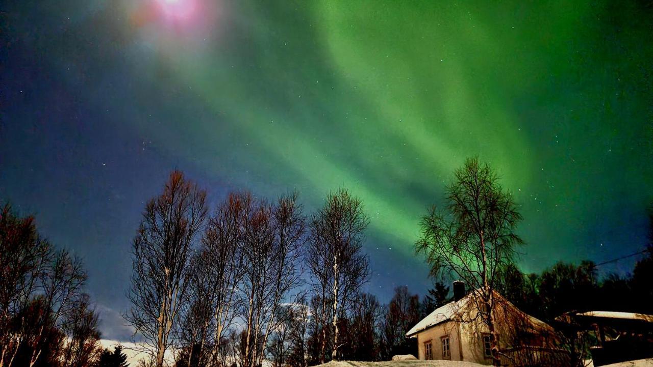 Cabin Magic On Senja, Atmosphere Like A Fairytale Botnhamn エクステリア 写真