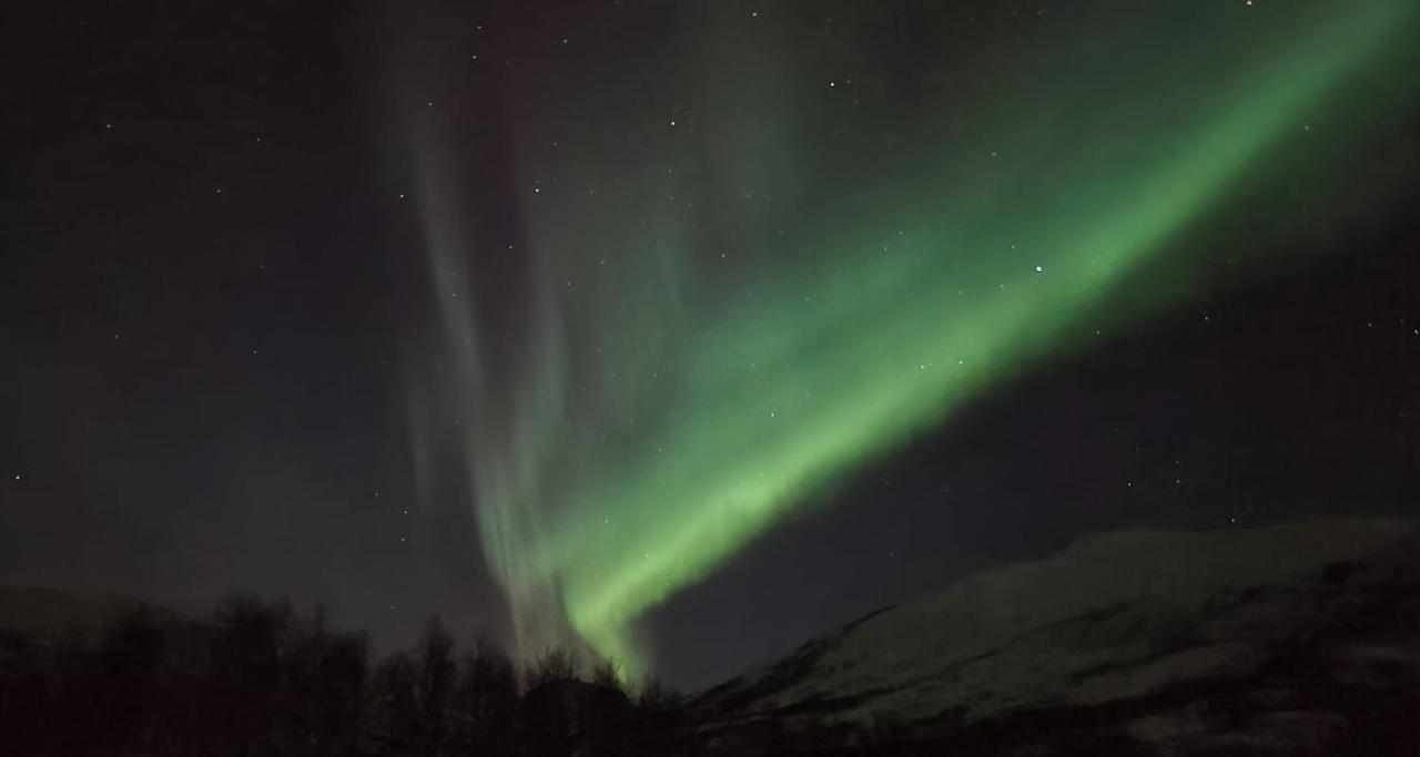 Cabin Magic On Senja, Atmosphere Like A Fairytale Botnhamn エクステリア 写真