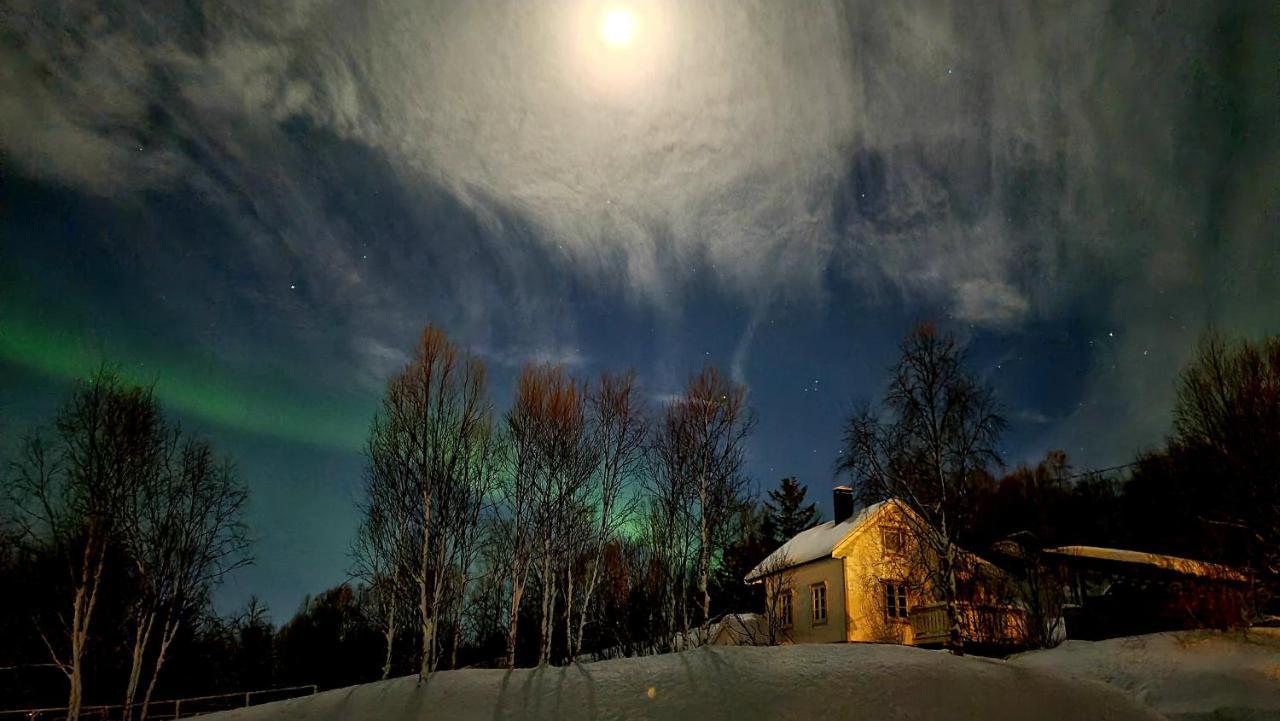Cabin Magic On Senja, Atmosphere Like A Fairytale Botnhamn エクステリア 写真