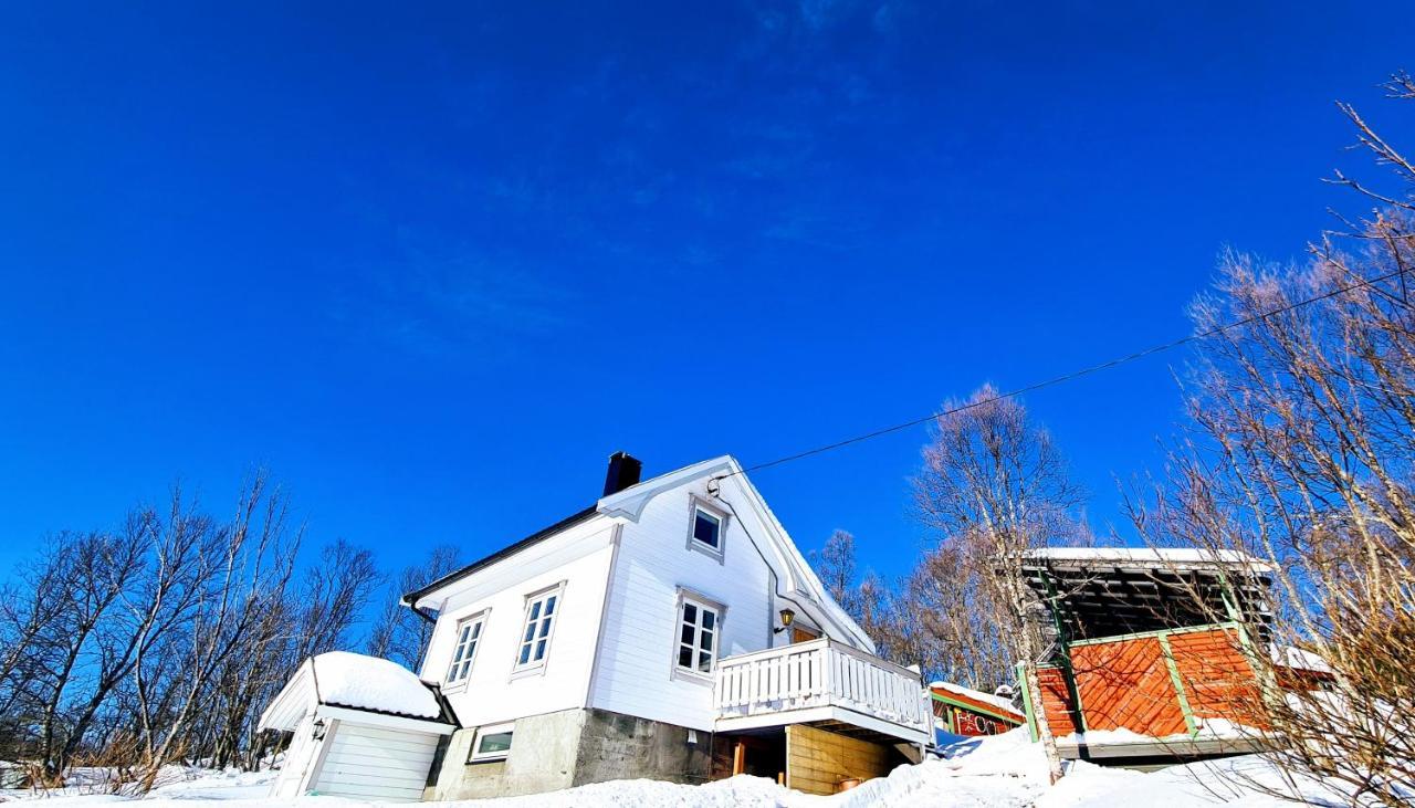 Cabin Magic On Senja, Atmosphere Like A Fairytale Botnhamn エクステリア 写真