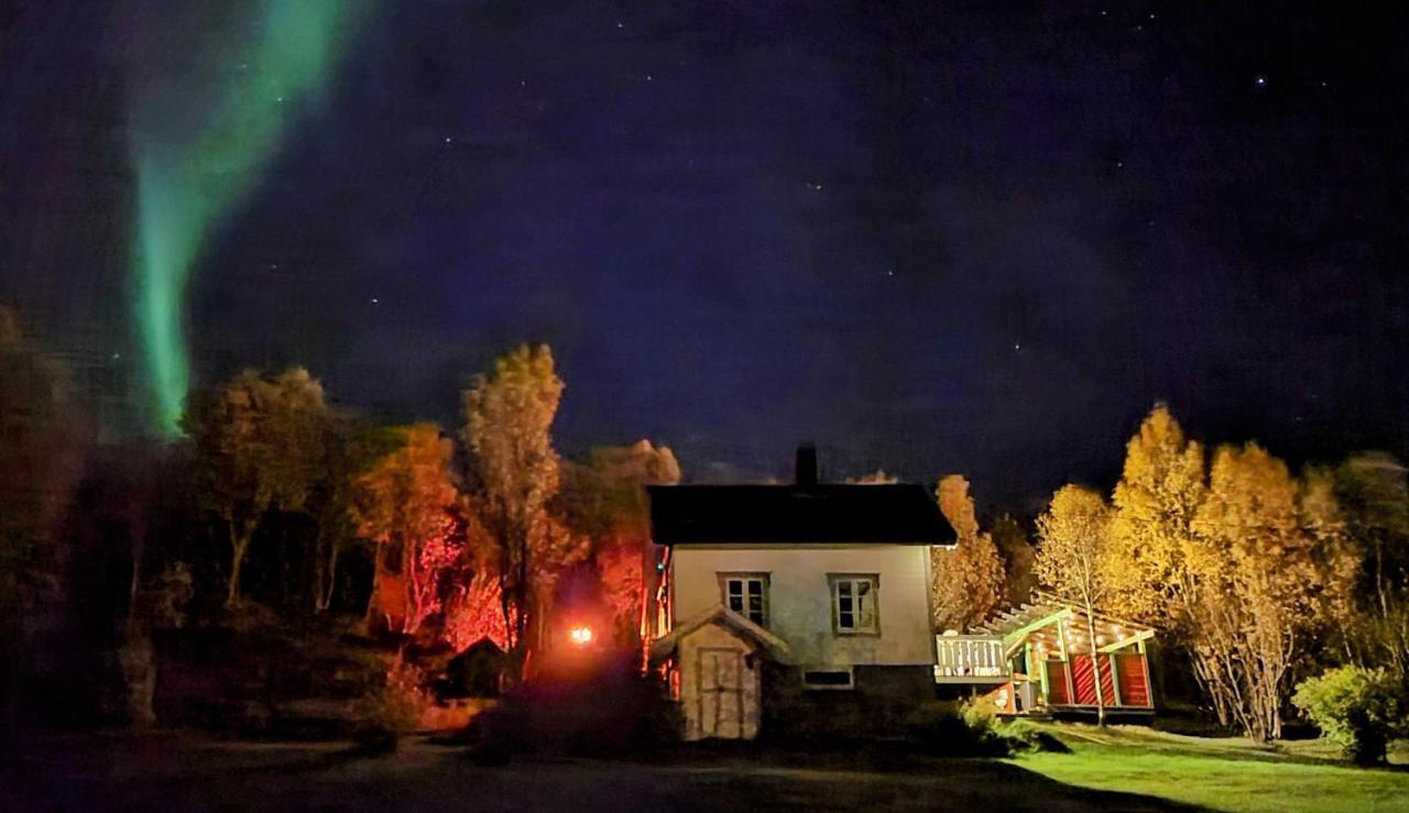 Cabin Magic On Senja, Atmosphere Like A Fairytale Botnhamn エクステリア 写真