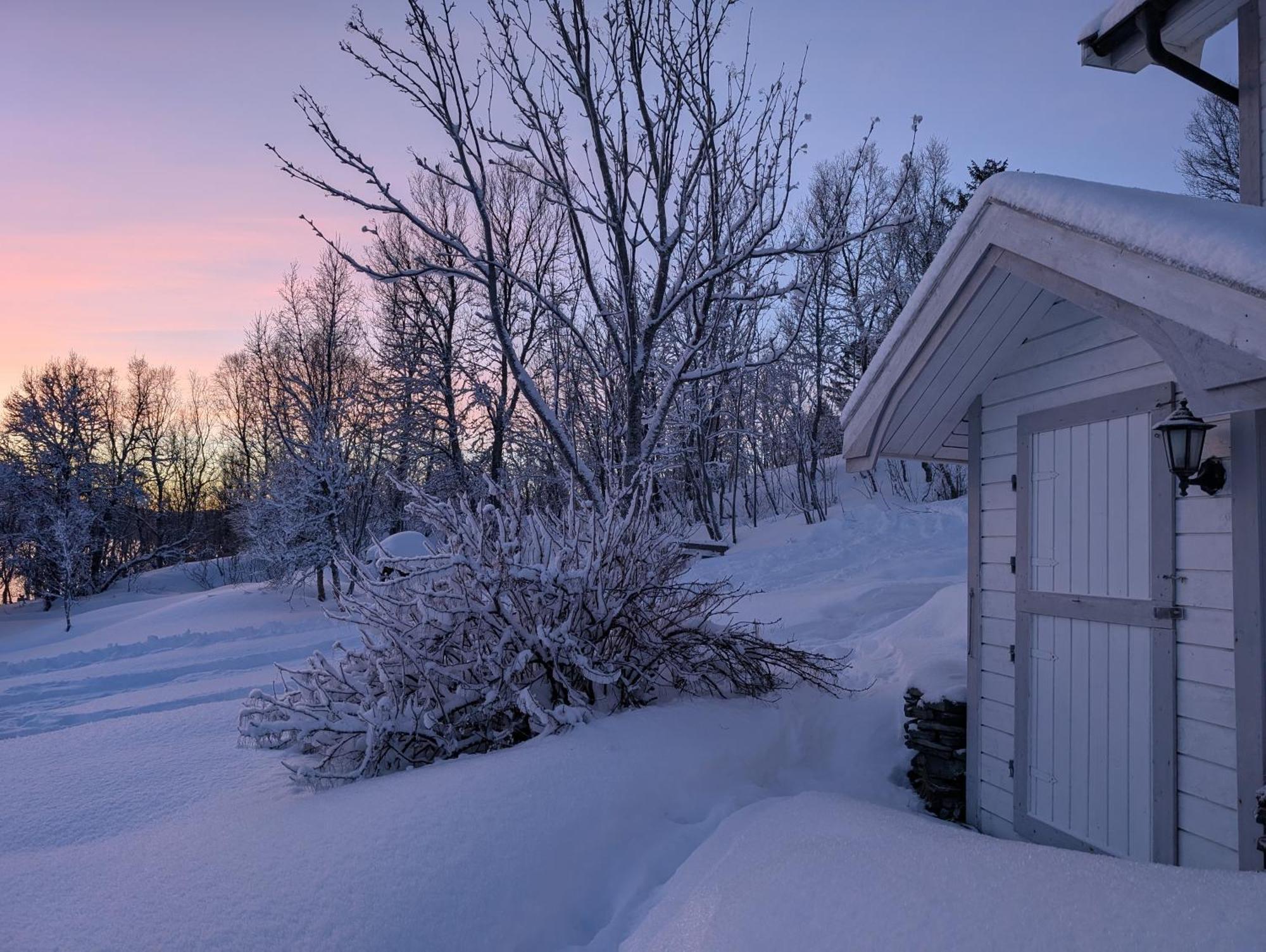 Cabin Magic On Senja, Atmosphere Like A Fairytale Botnhamn エクステリア 写真